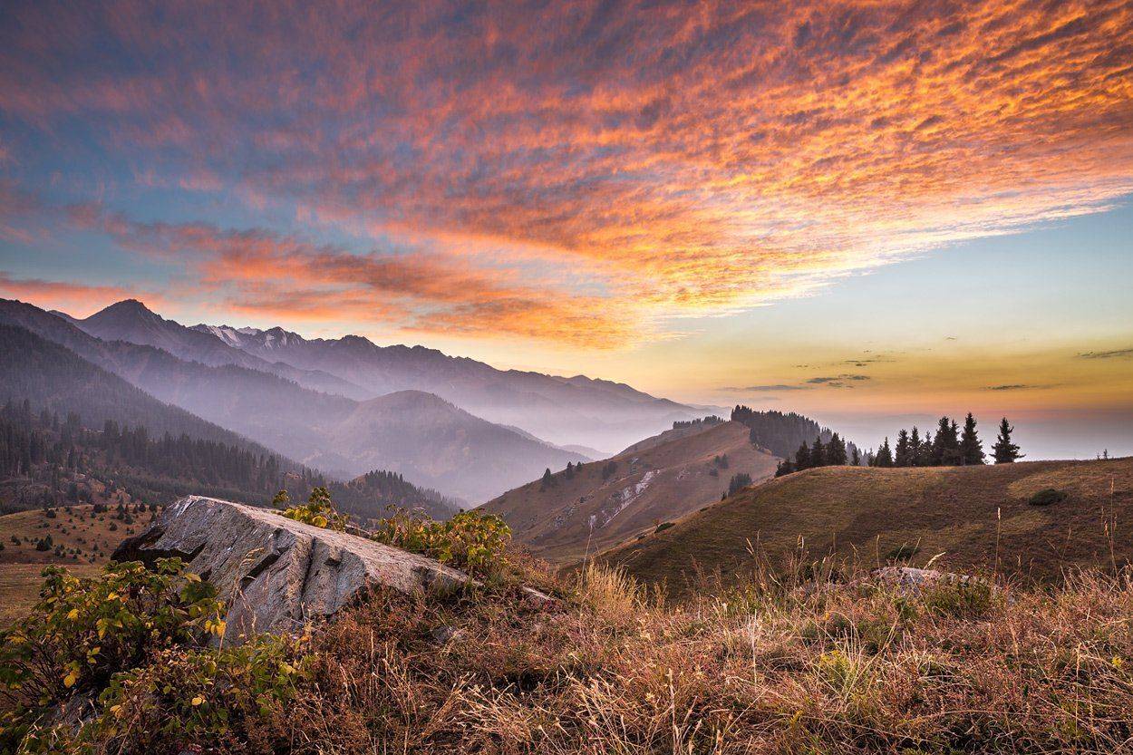 , Сергей Теректі