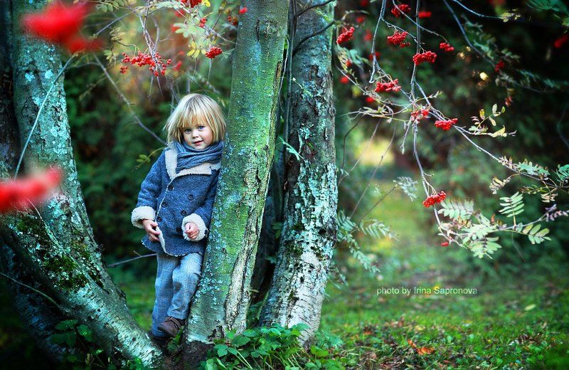 рябиновая осень фото превью