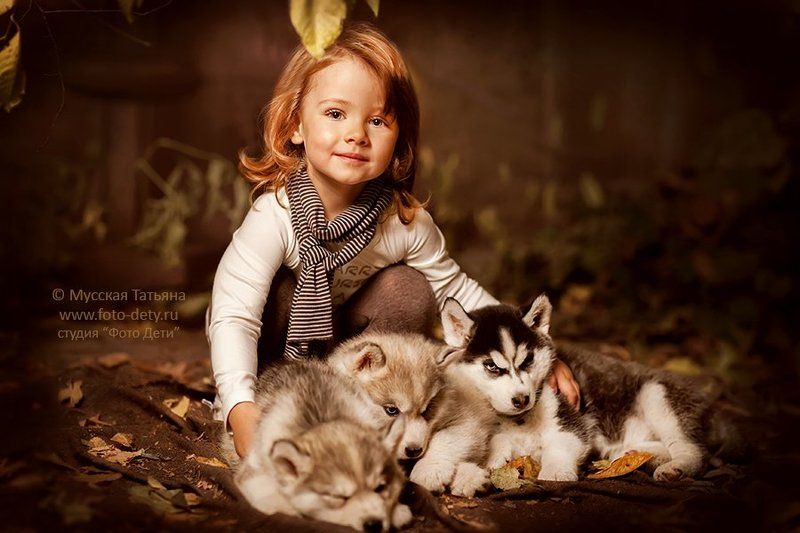 Осенний лес фото превью