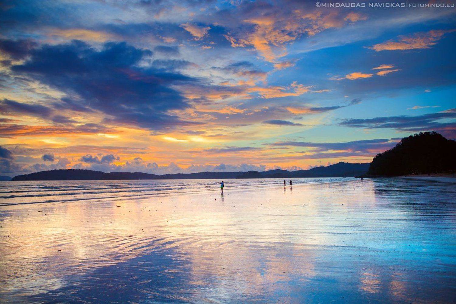 , Mindaugas Navickas