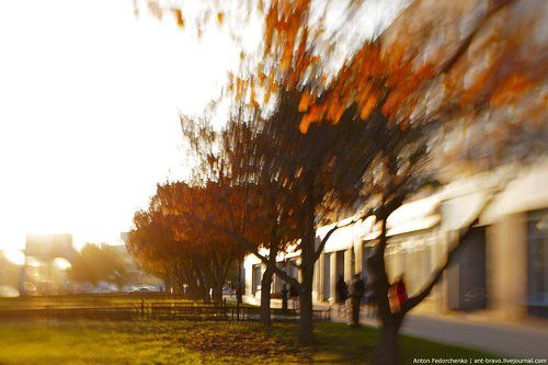 Autumn light