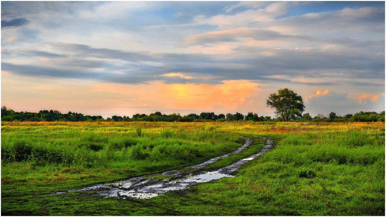 , Дмитрий Бажанов