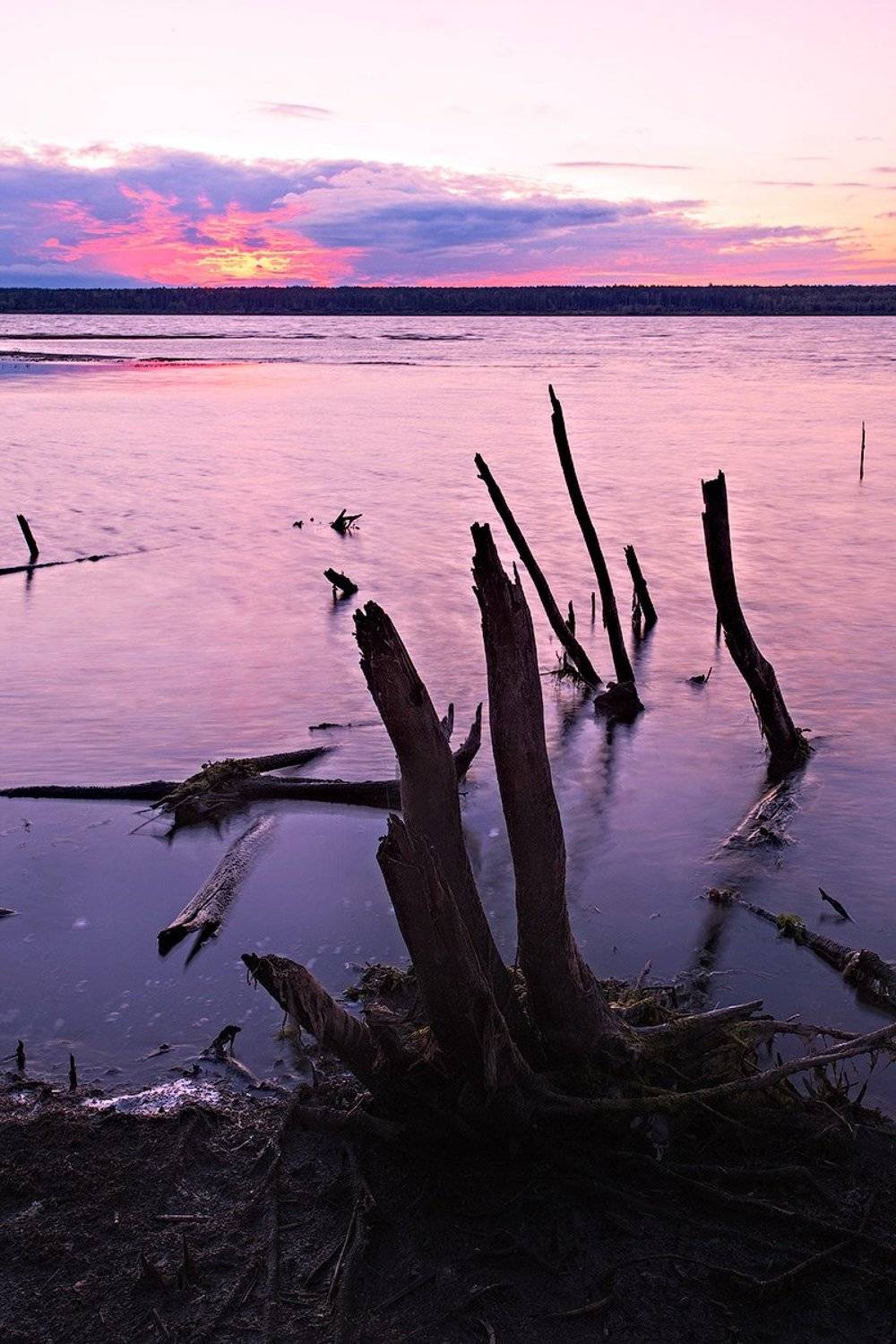 , Денис Беляев