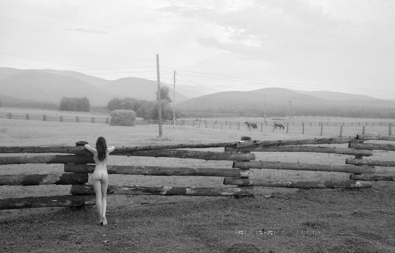 Rustic morning фото превью