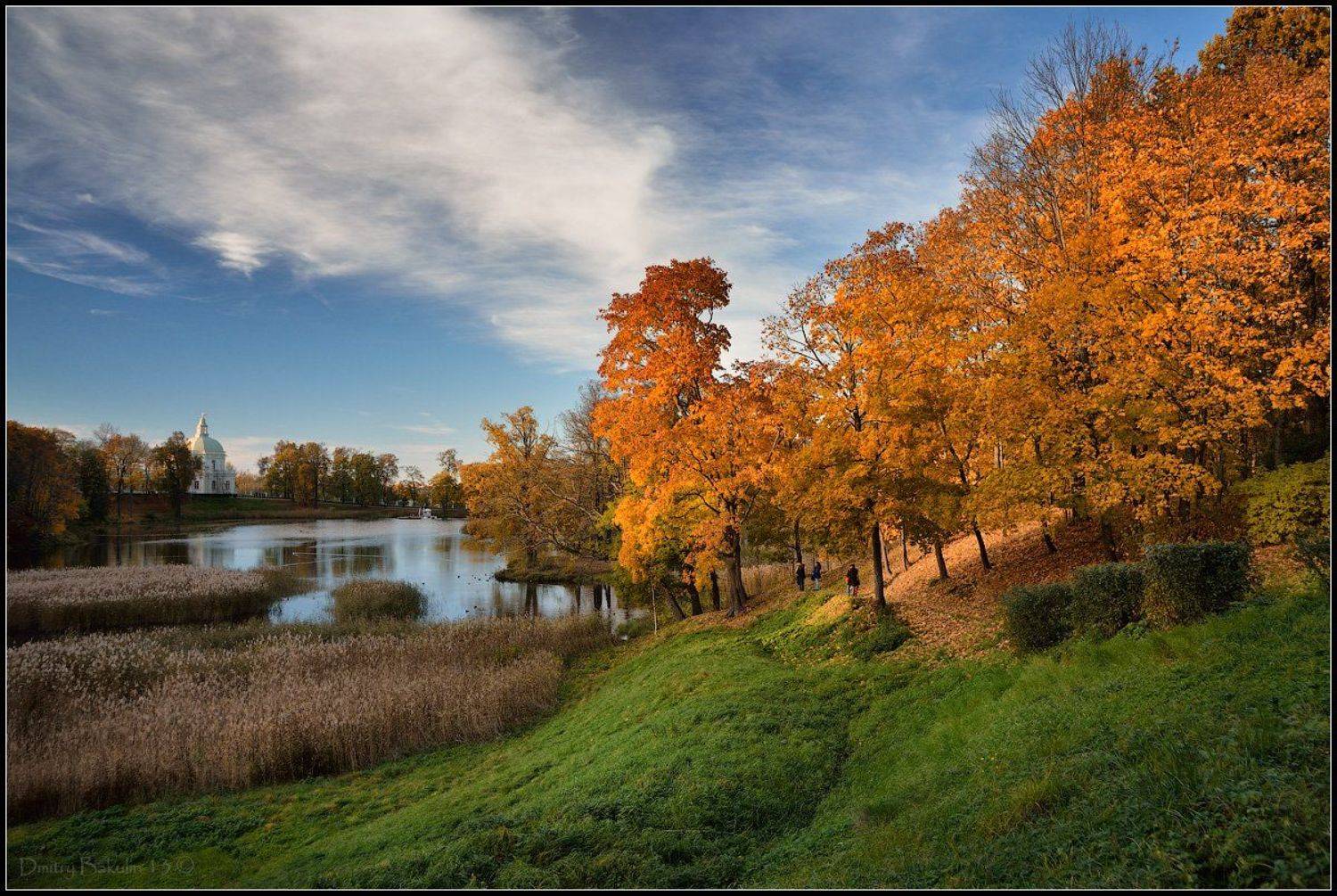 , Дмитрий Бакулин