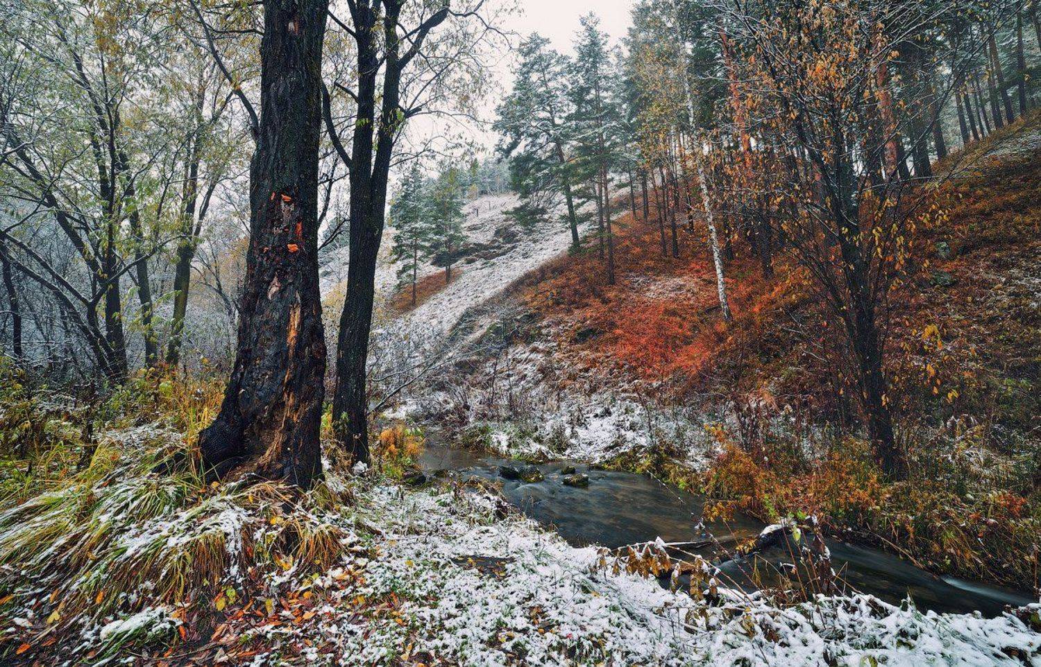 , Олег Пожарков