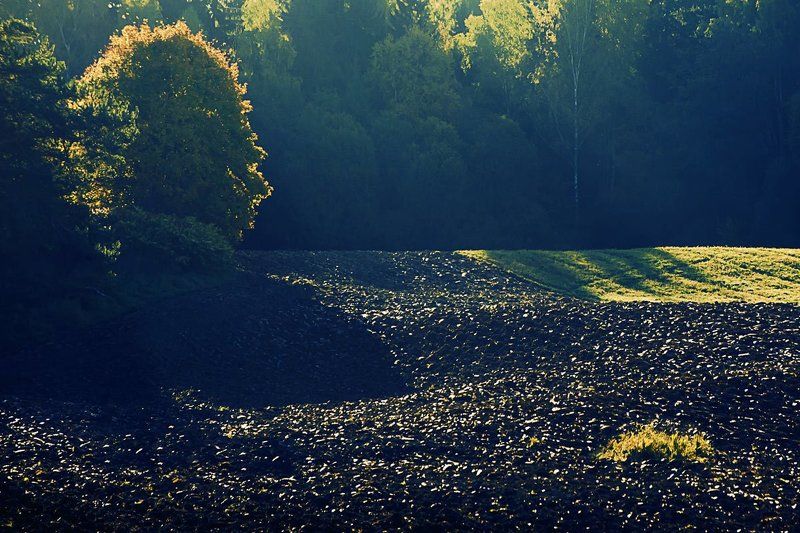 Чёрное золото фото превью