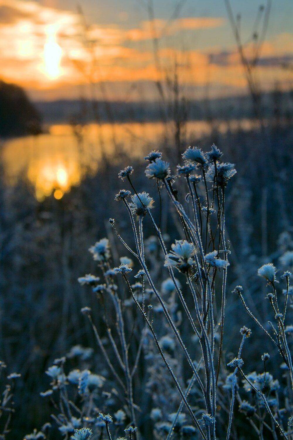 , Николай Морский