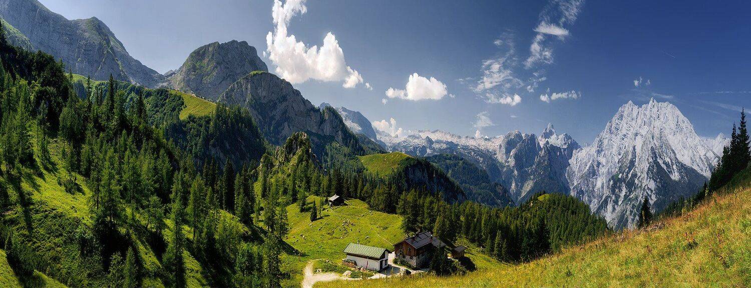 , Игорь Мелекесцев