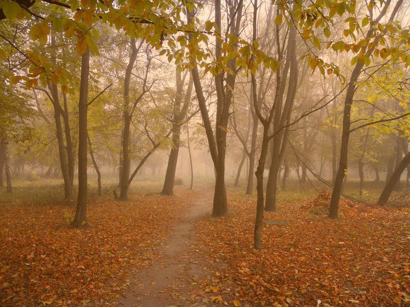 Landscape фото превью