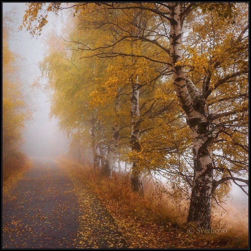 bulgaria, vitosha  фото превью