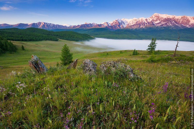 Алтайский рассвет фото превью