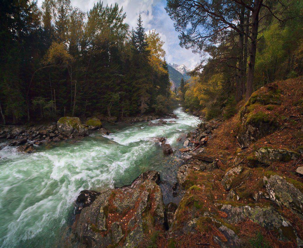 кавказ, домбай, гоначхир, осень, Николай Мысливцев
