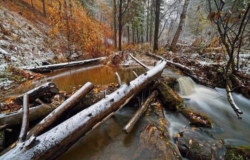 Второй сон третьего суслика. фото превью