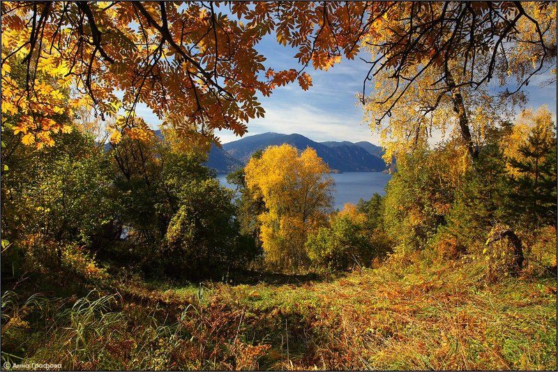 Осенний лес Яйлю фото превью