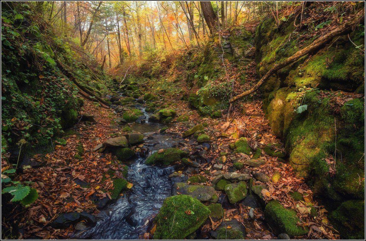 , Андрей Кровлин