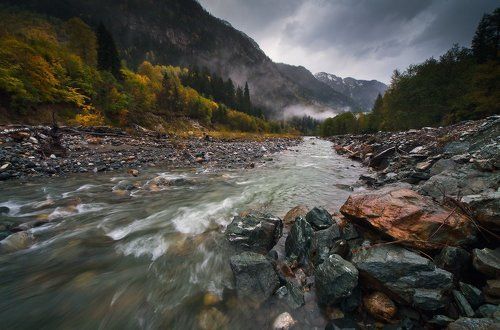 Аманауз в осени