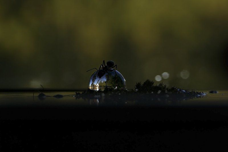 It´s My World фото превью