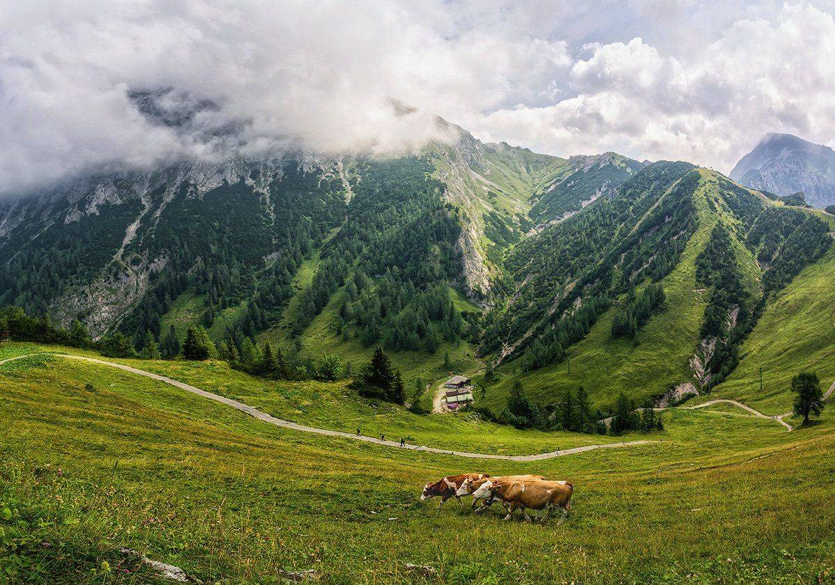 , Игорь Мелекесцев