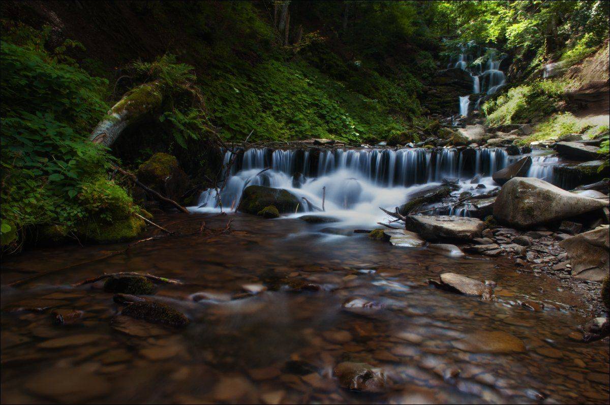 , Полищук И.В.