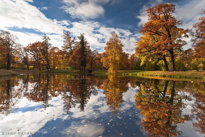 В Александровском парке .... фото превью