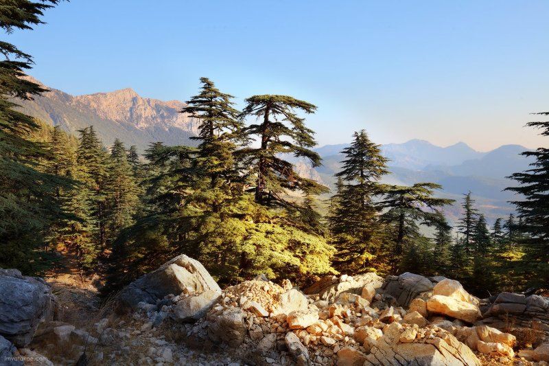 Солнца луч фото превью