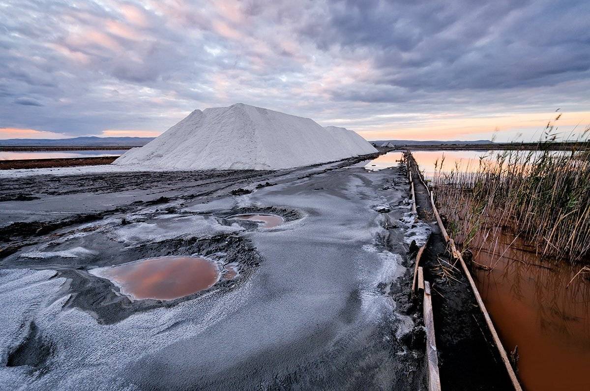 , Милен Добрев