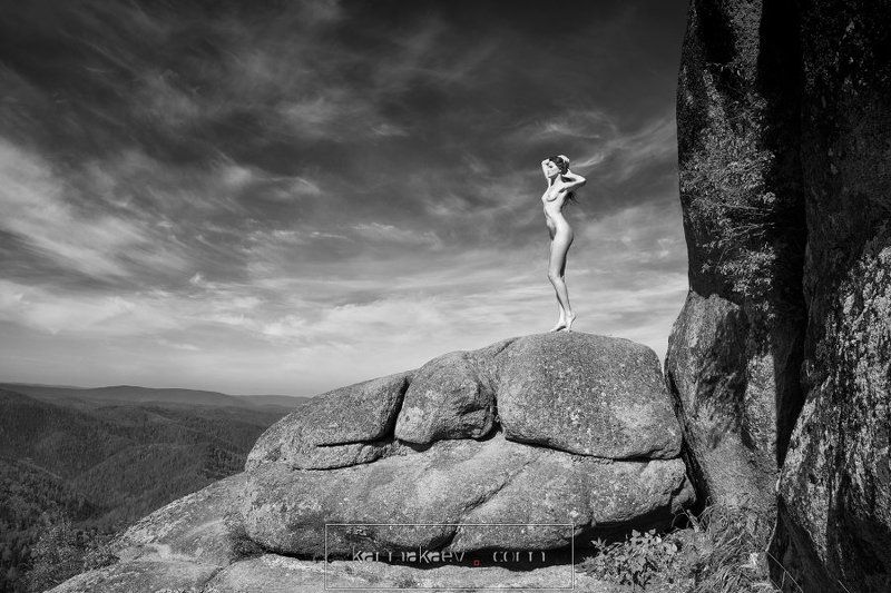 Over forests фото превью