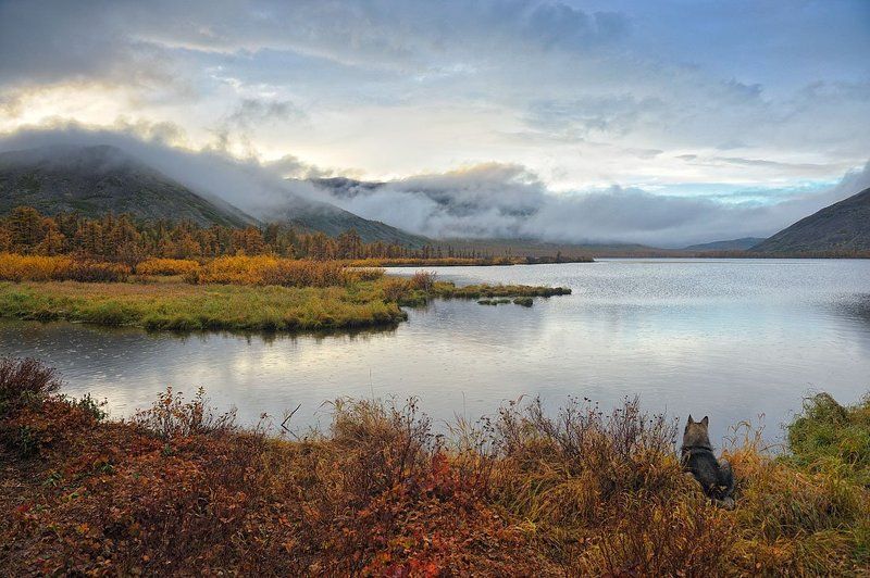 *** фото превью