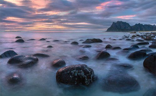 Norway V