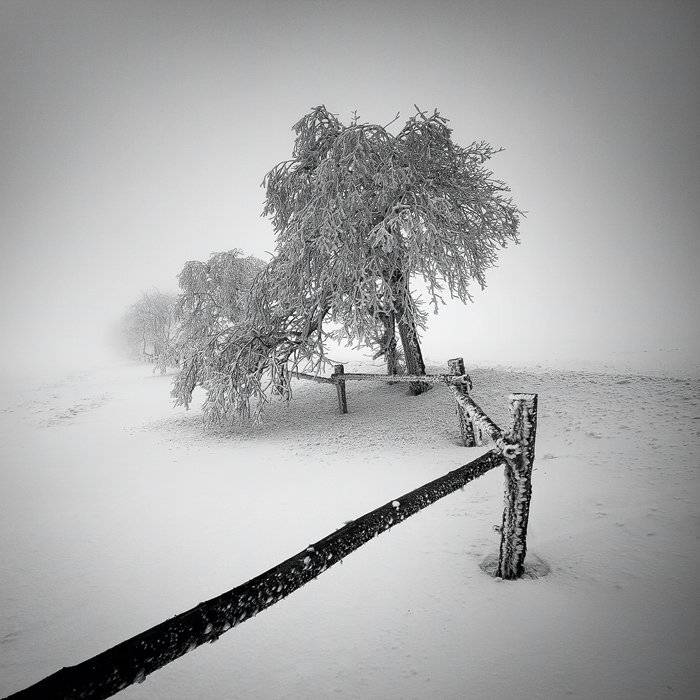 , Martin Rak