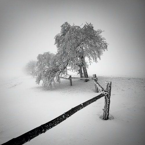 Fence