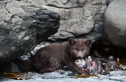 В укромном уголке