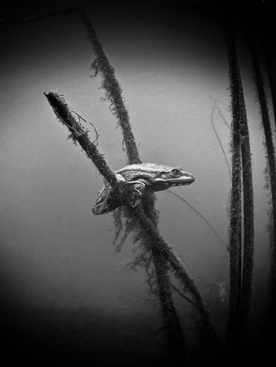 , Эдуард VTORNIK  Николаев