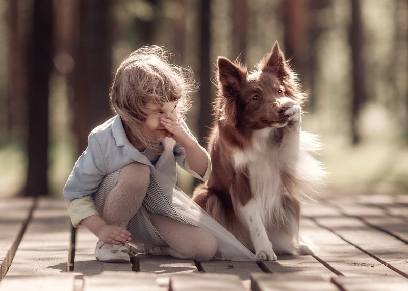 About noses ... ))) фото превью