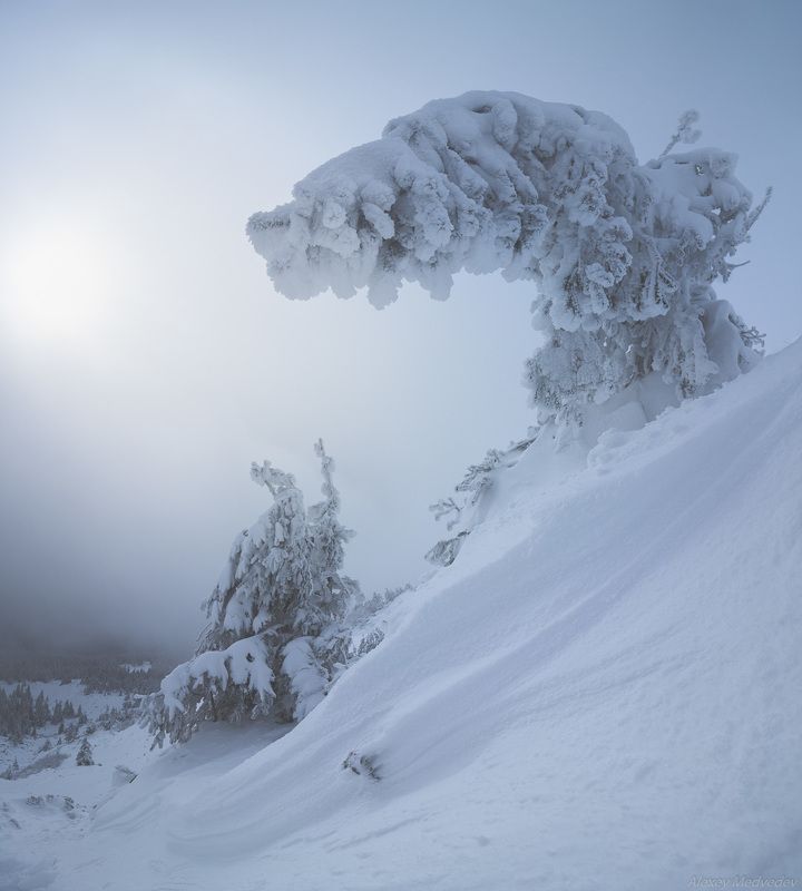 Карпаты, Украина До весны фото превью