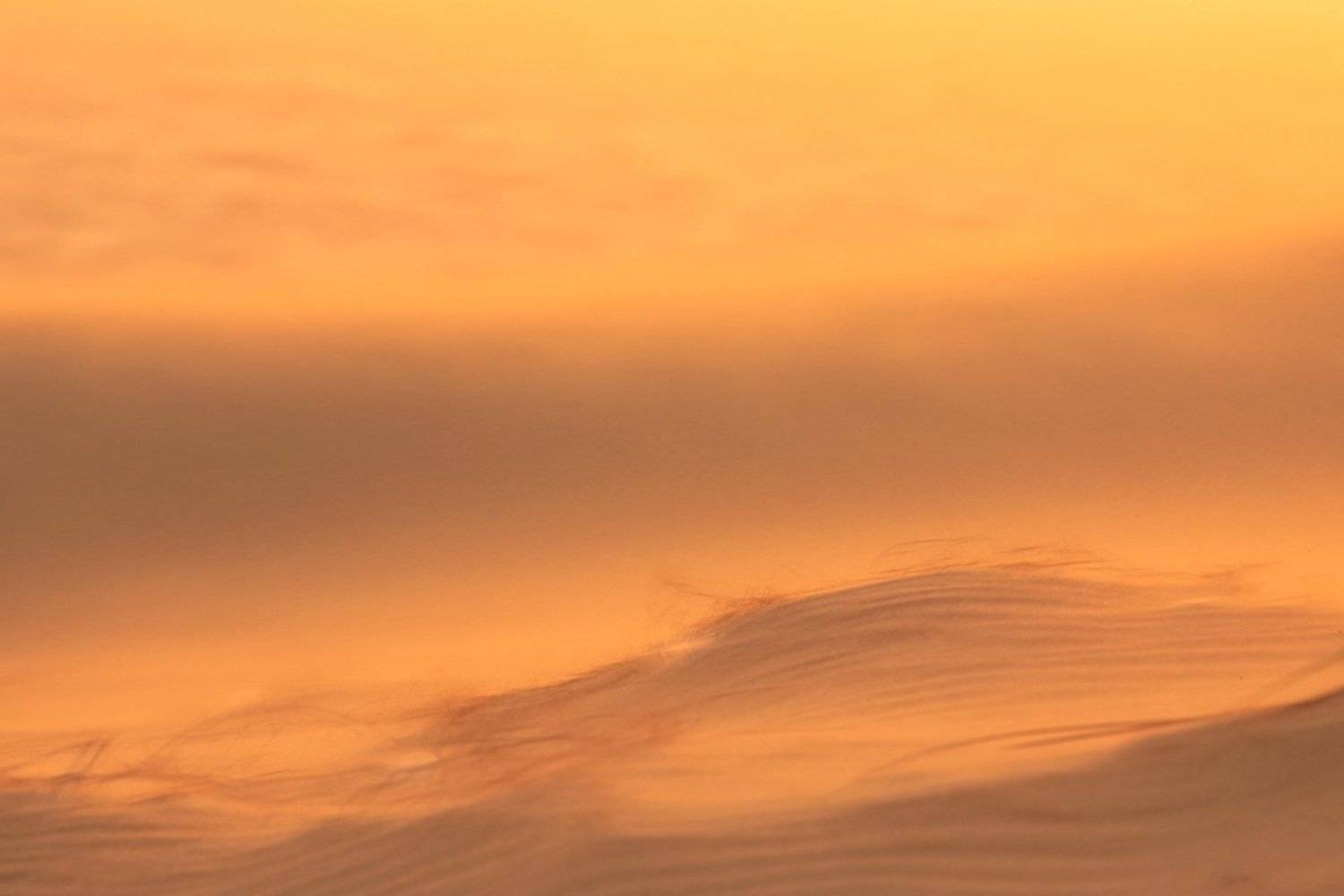 Куршская коса, пески, калининград, рассвет , Евгения Кирпиченкова (Клипп)