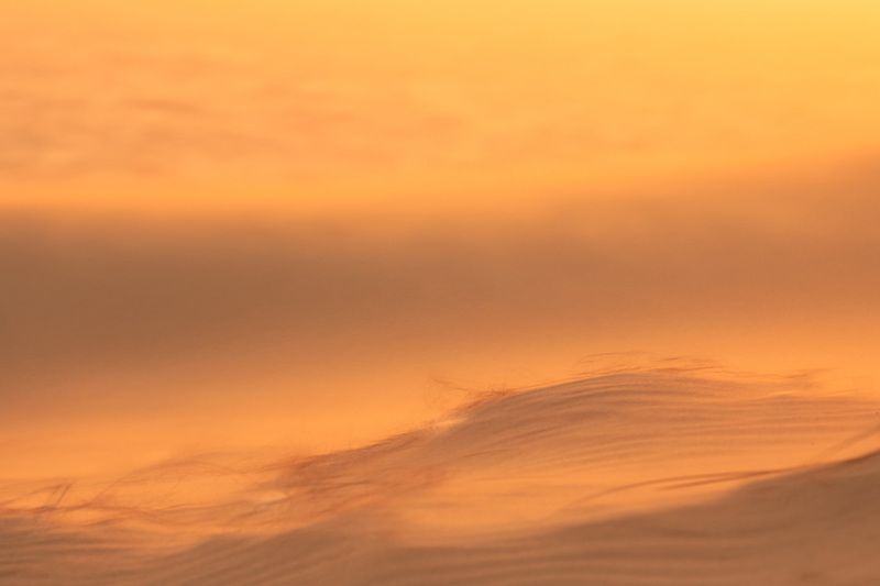 Куршская коса, пески, калининград, рассвет  Куршская коса фото превью