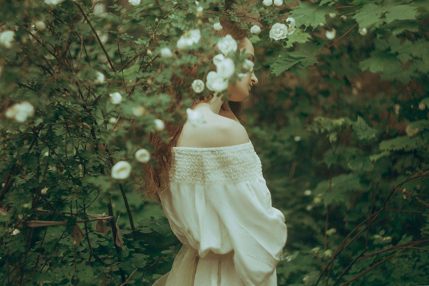 , Marie Dashkova