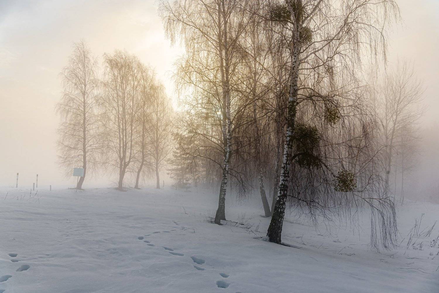 , Руслан Авдевич