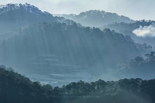 Da Lat 2019