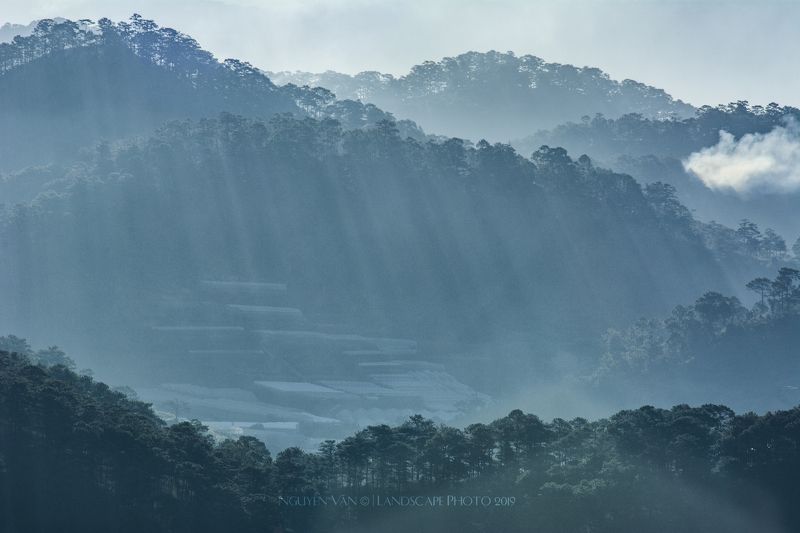 Fog Da Lat 2019 фото превью