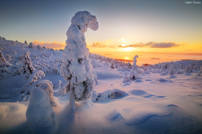 кольский, север, заполярье Зимнее утро на Кольском фото превью
