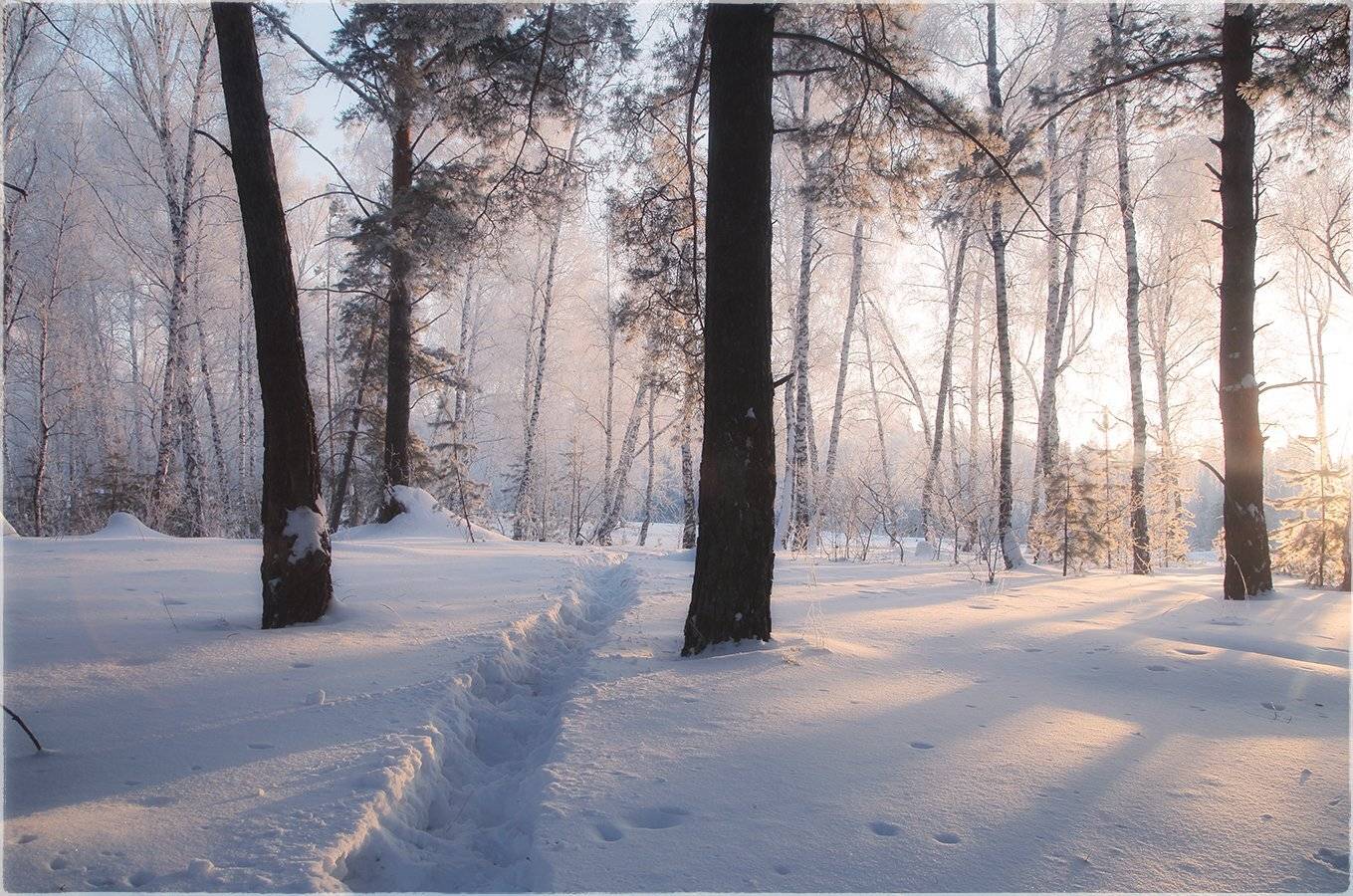 , Евгений Зинов