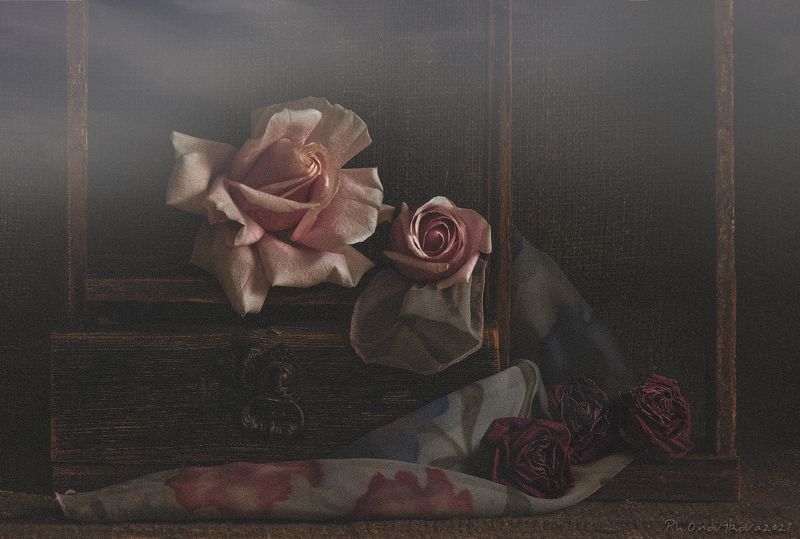 *** фото превью