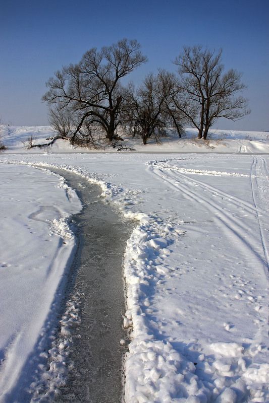 река-москва, звенигород Берега.... фото превью
