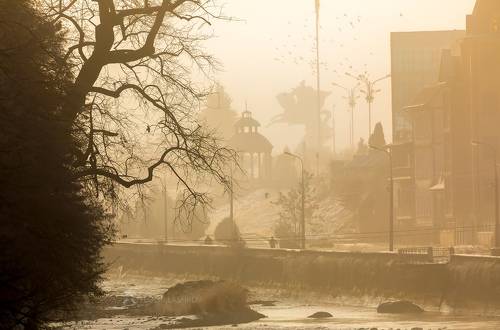 Туманный Владикавказ