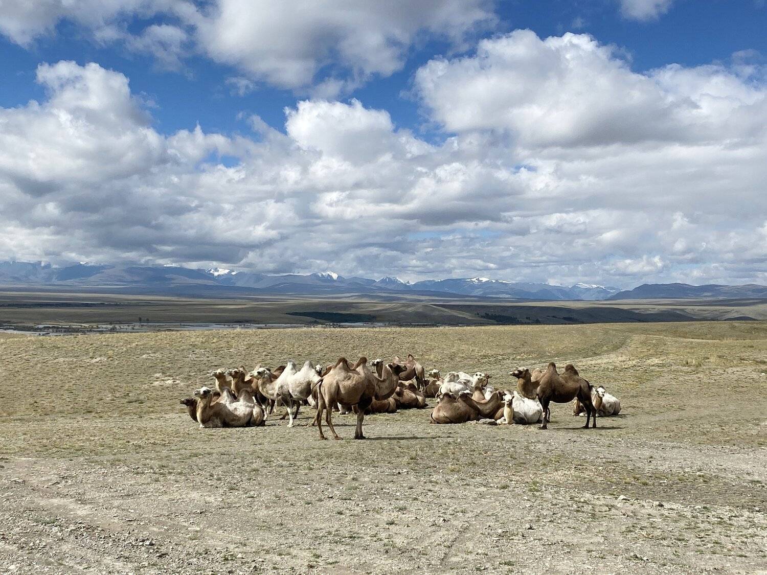 , Ольга Беккер