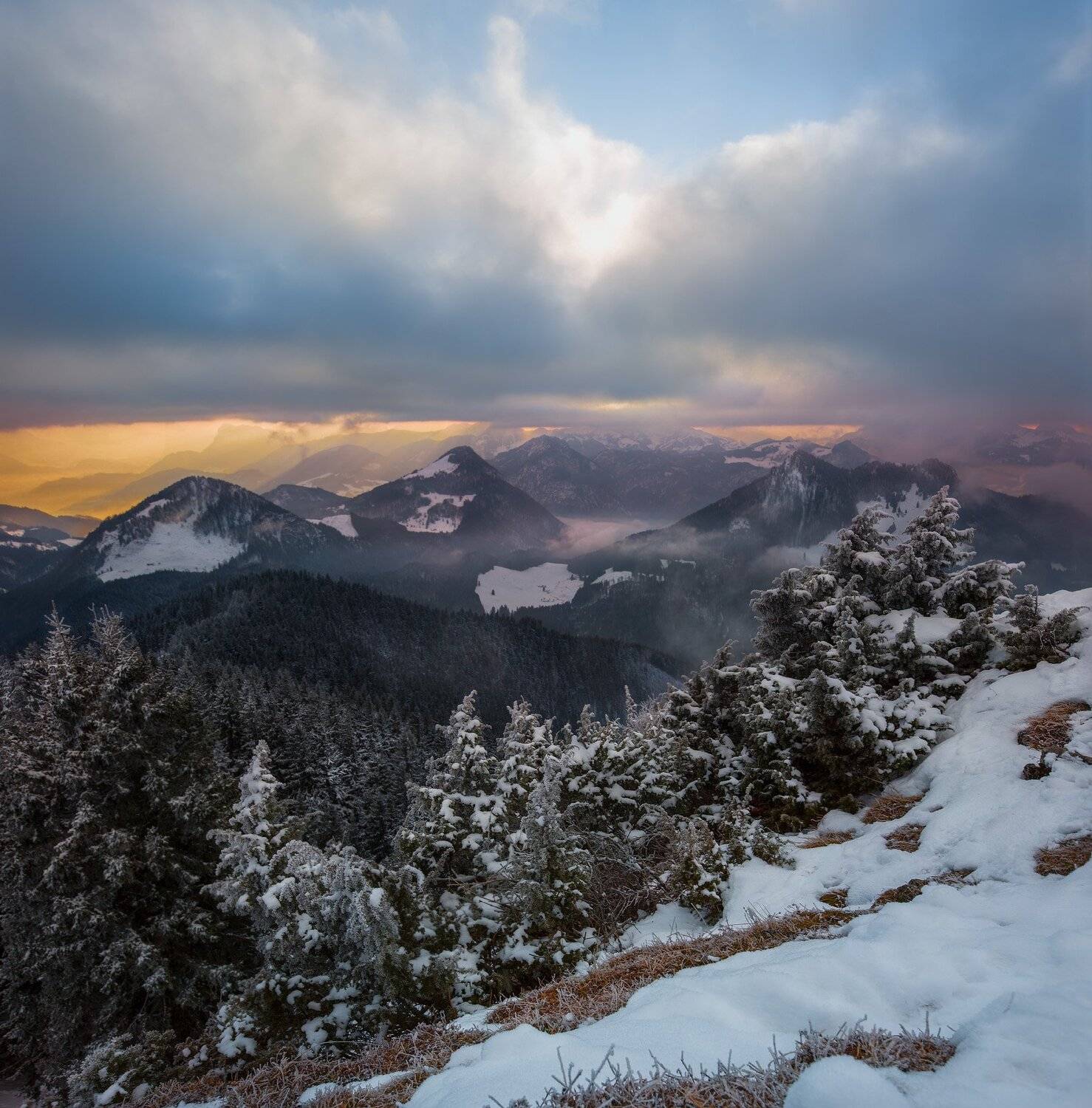 , Геннадий Финенко
