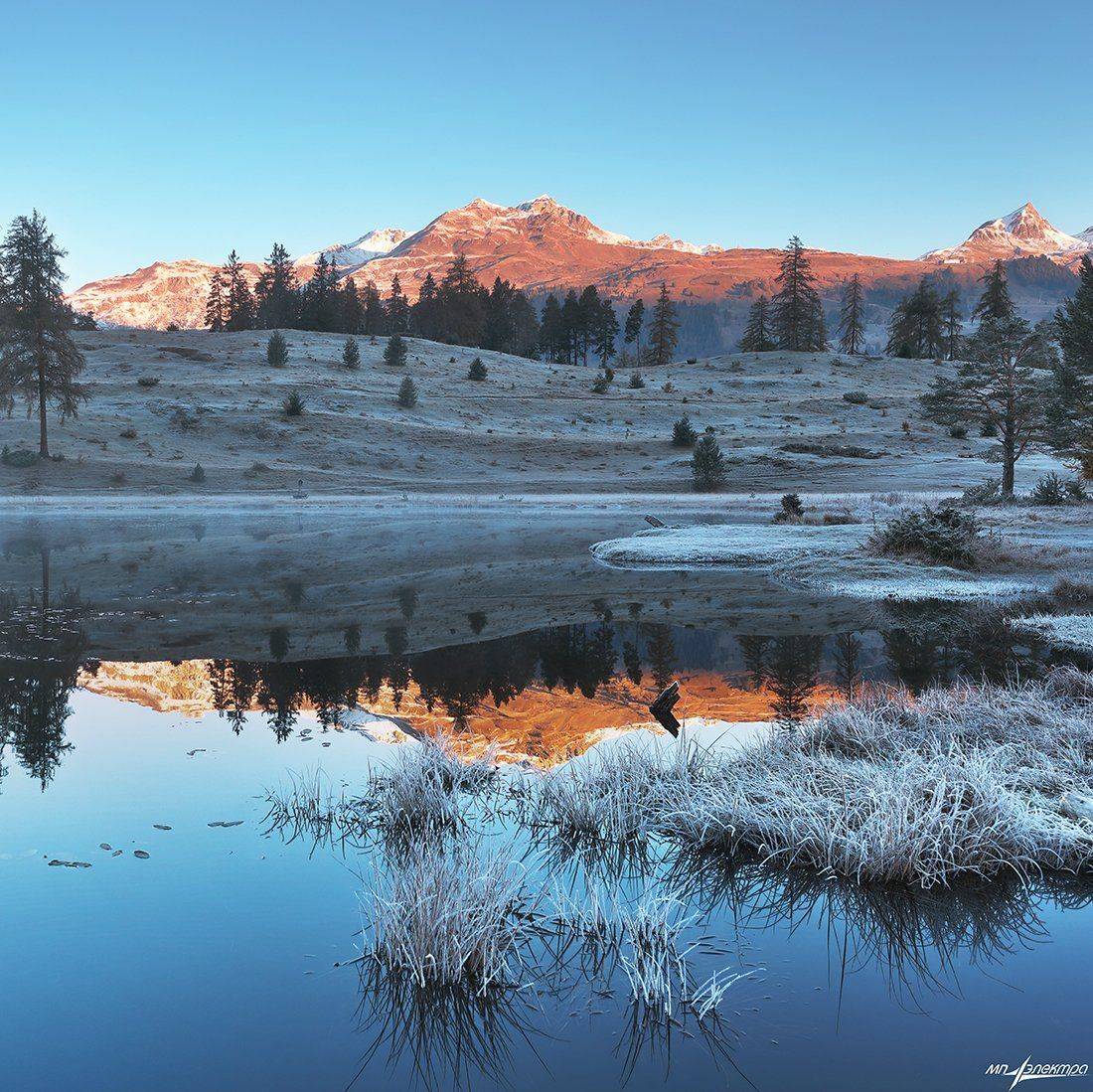 swiss, Матвеев Николай